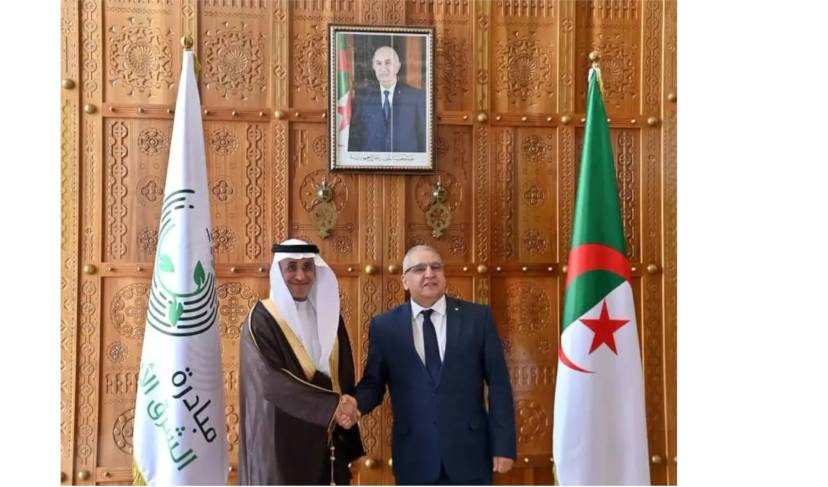 Mr. Magramane receives Secretary-General of Middle East Green Initiative